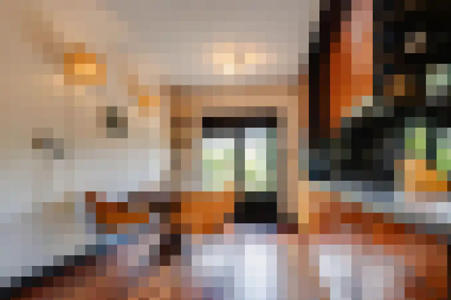 Hoge Pad 6 Ouddorp thumbnail 10