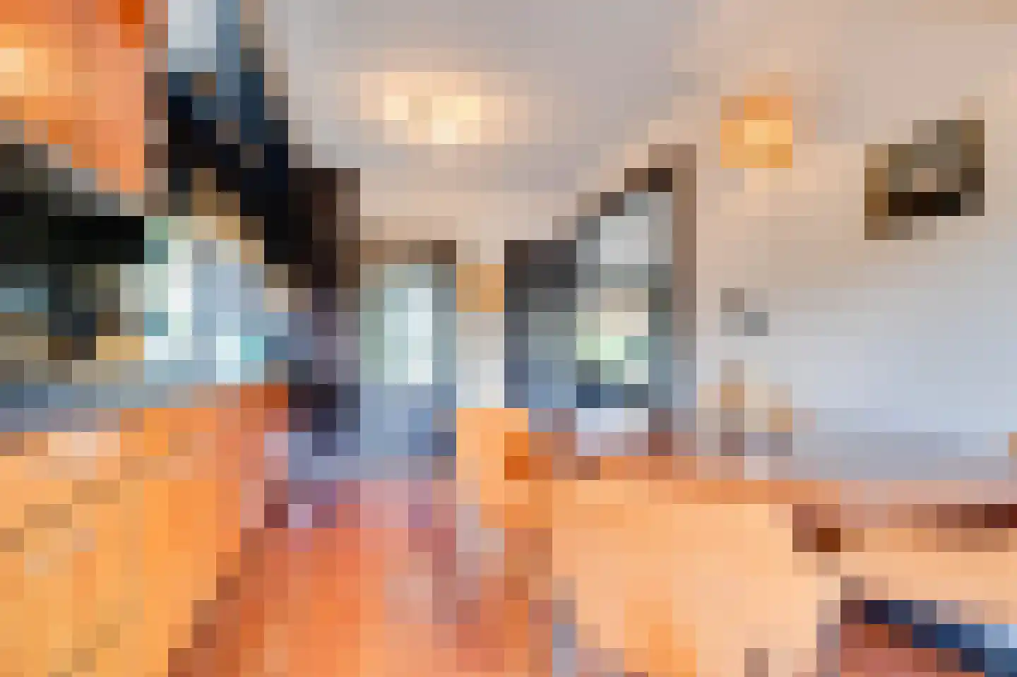 Hoge Pad 6 Ouddorp thumbnail 11