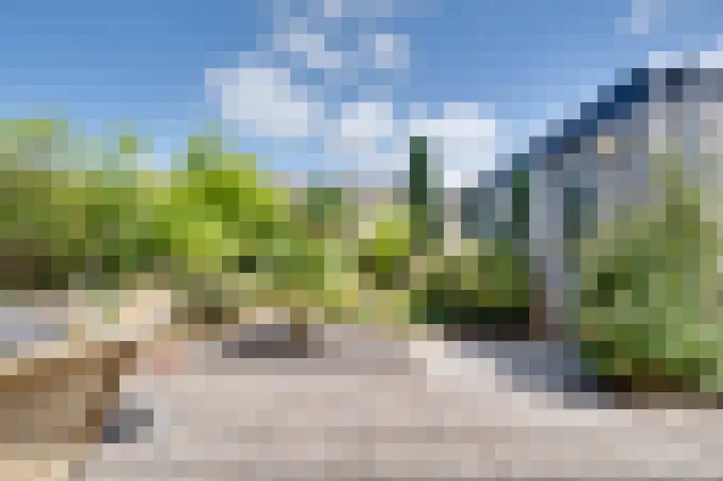 Hoge Pad 6 Ouddorp thumbnail 24