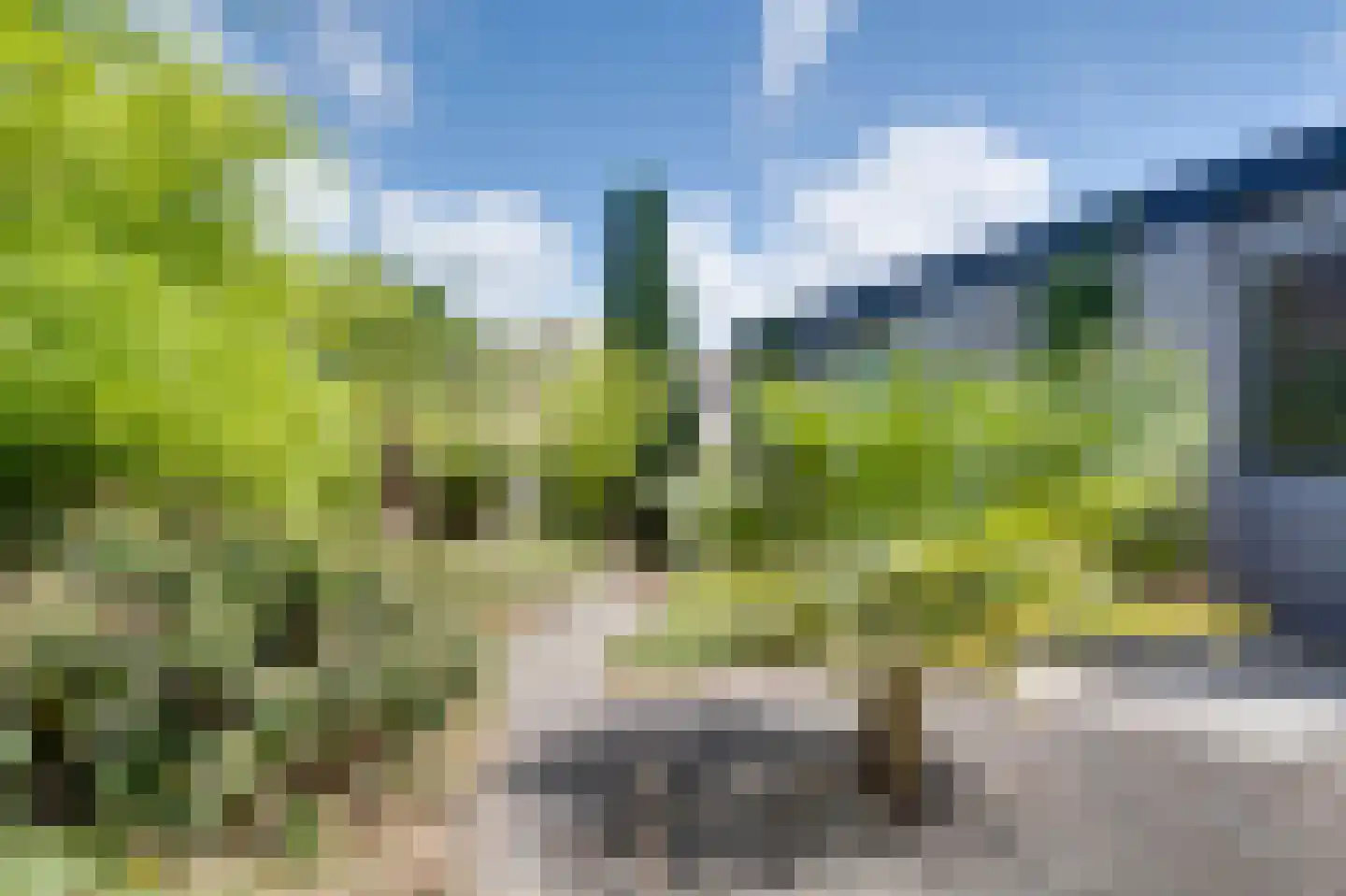 Hoge Pad 6 Ouddorp thumbnail 26