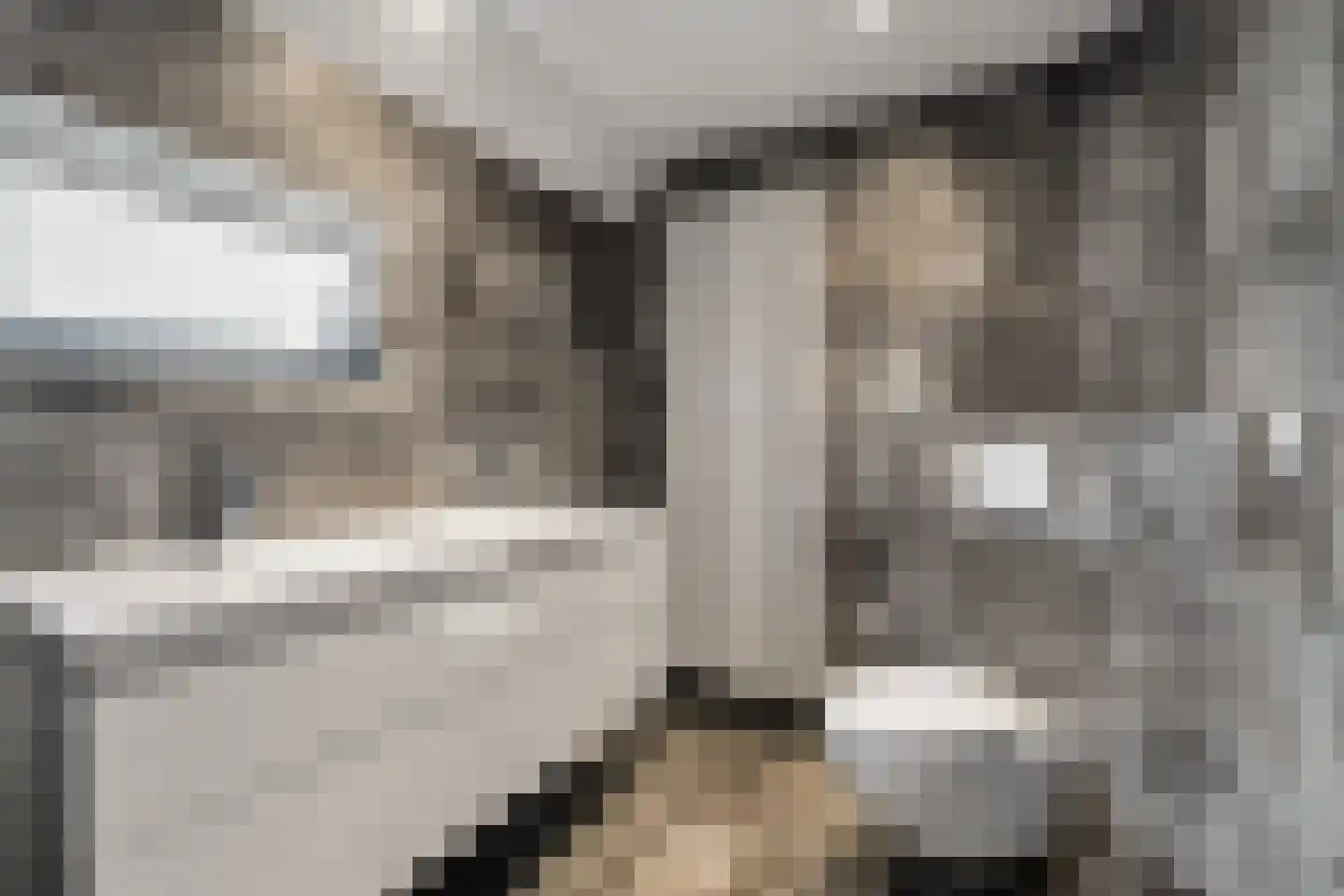 Hoge Poel 12 Den Oever thumbnail 25