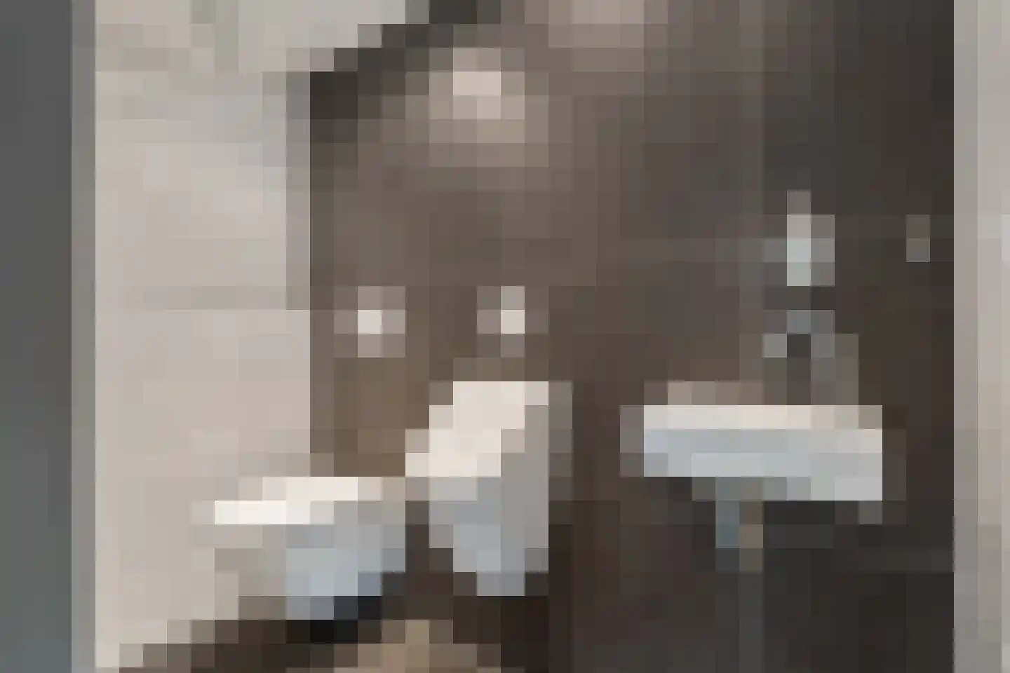 Hoge Poel 12 Den Oever thumbnail 8