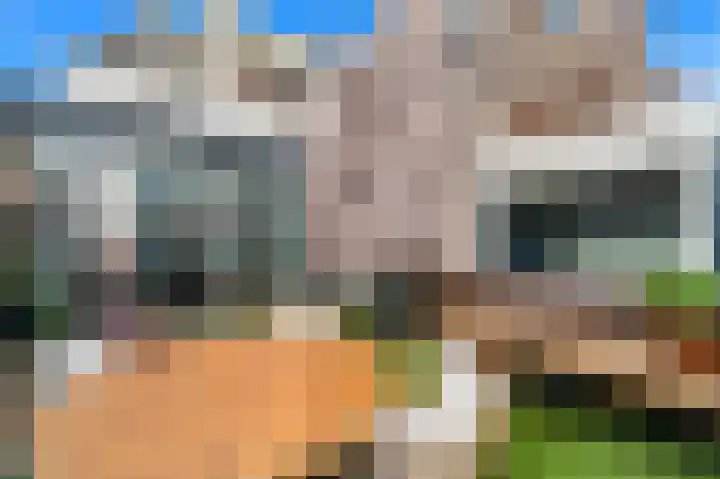 Hoge Prins Willemstraat 3 G Den Haag thumbnail 11