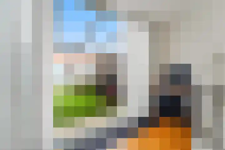 Hoge Prins Willemstraat 3 G Den Haag thumbnail 13