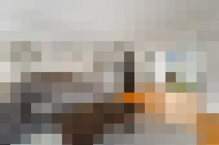 Hoge Prins Willemstraat 3 G Den Haag thumbnail 16