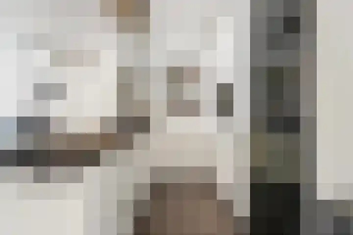 Hoge Prins Willemstraat 3 G Den Haag thumbnail 18