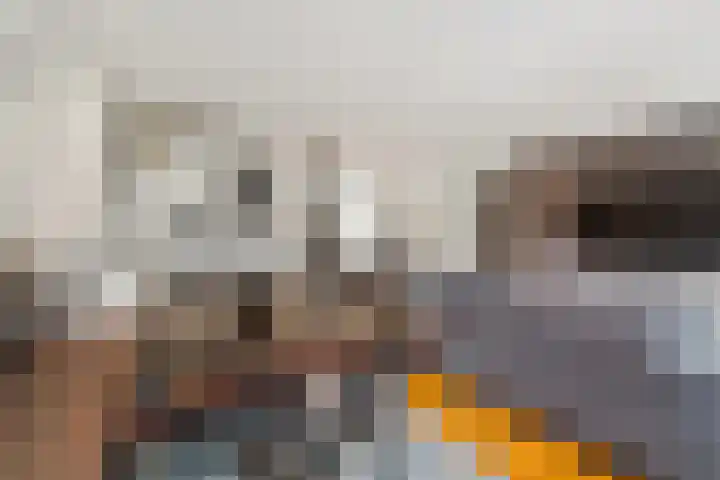 Hoge Prins Willemstraat 3 G Den Haag thumbnail 21
