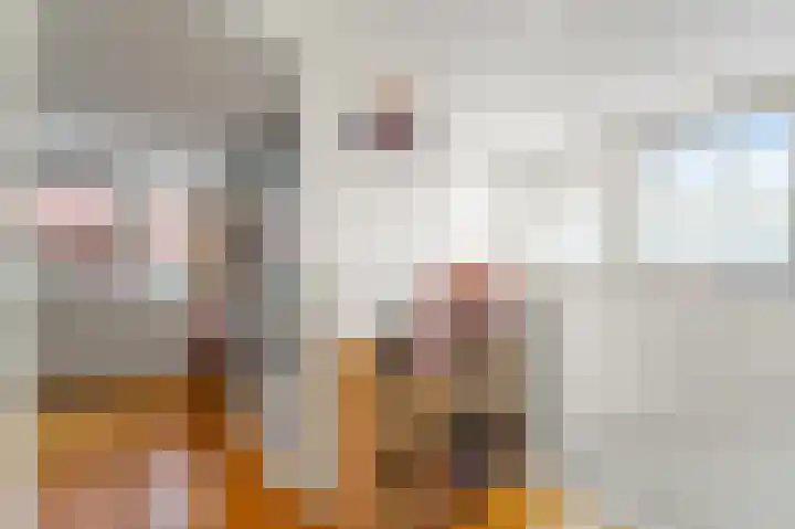 Hoge Prins Willemstraat 3 G Den Haag thumbnail 23