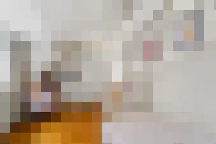 Hoge Prins Willemstraat 3 G Den Haag thumbnail 24