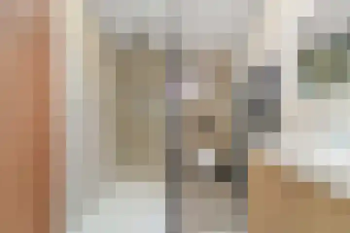 Hoge Prins Willemstraat 3 G Den Haag thumbnail 4