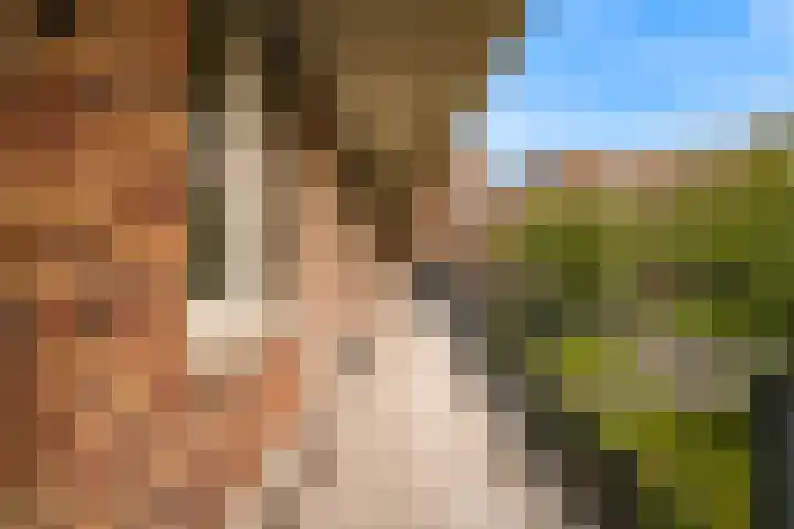 Hoge Rijndijk 1 34 Woerden thumbnail 16