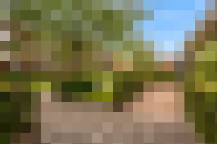 Hoge Rijndijk 1 34 Woerden thumbnail 17