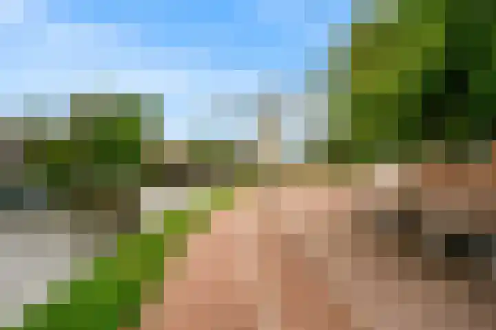 Hoge Rijndijk 1 34 Woerden thumbnail 27