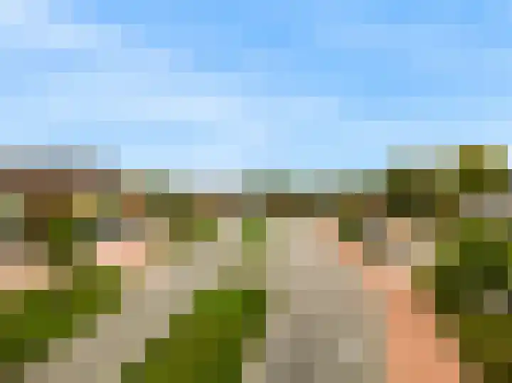 Hoge Rijndijk 1 34 Woerden thumbnail 28