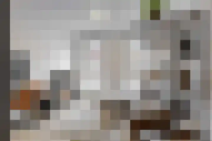 Hoge Rijndijk 1 34 Woerden thumbnail 5