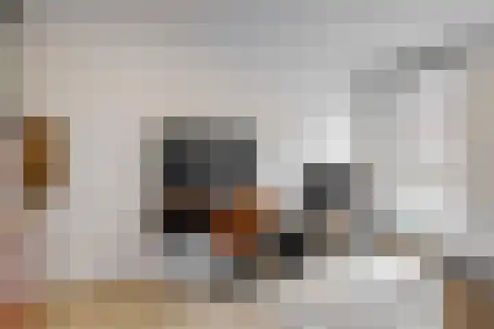 Hoge Rijndijk 1 34 Woerden thumbnail 7