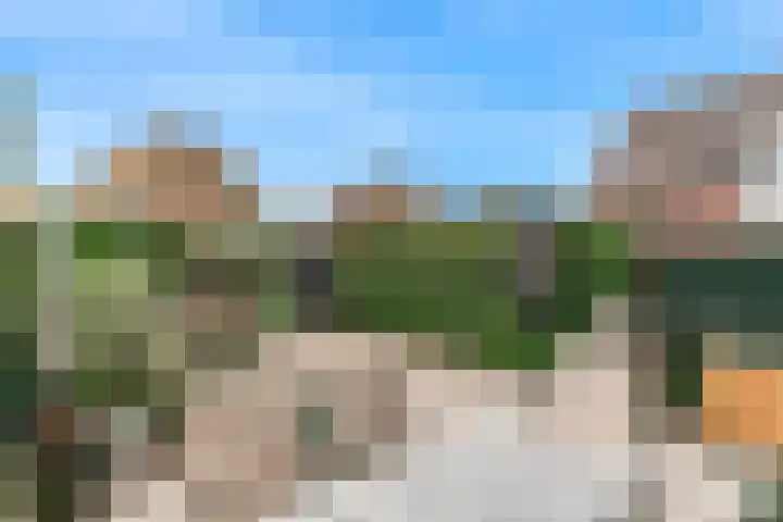 Hoge Rijndijk 101 Nieuwerbrug aan den Rijn thumbnail 31