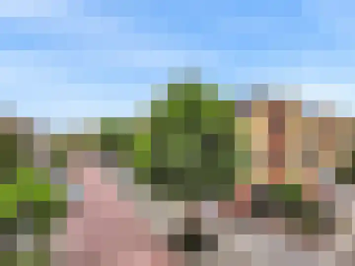 Hoge Rijndijk 101 Nieuwerbrug aan den Rijn thumbnail 38