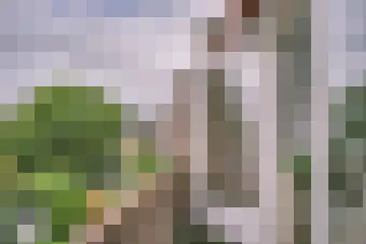 Hoge Rijndijk 103 B Leiden thumbnail 13