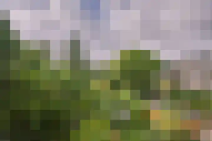 Hoge Rijndijk 103 B Leiden thumbnail 17