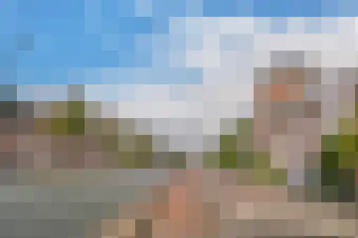 Hoge Rijndijk 103 B Leiden thumbnail 21