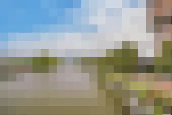 Hoge Rijndijk 103 B Leiden thumbnail 22