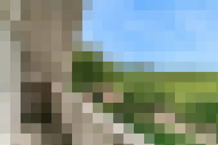 Hoge Rijndijk 108 Nieuwerbrug aan den Rijn thumbnail 17