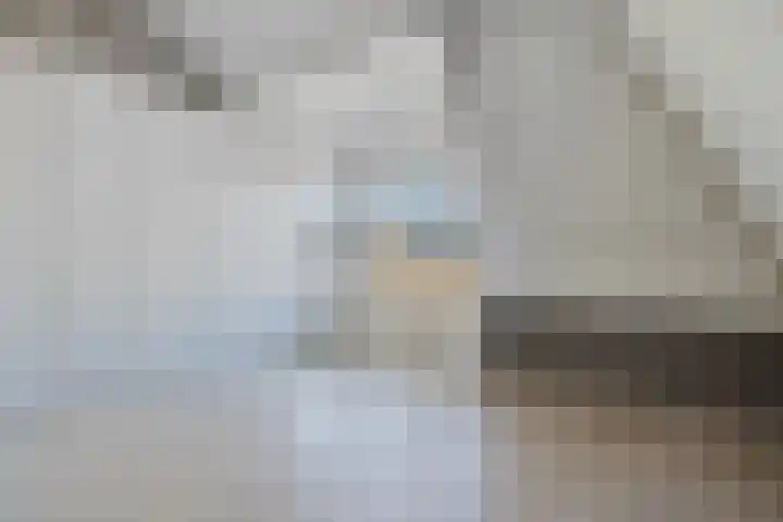 Hoge Rijndijk 112 D Leiden thumbnail 4