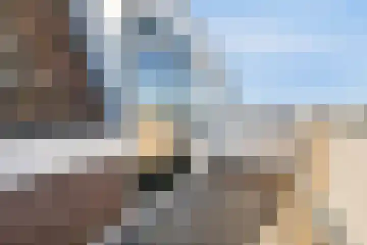 Hoge Rijndijk 112 D Leiden thumbnail 6