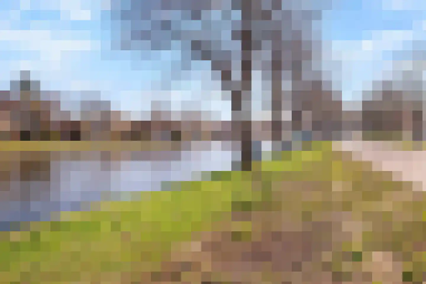 Hoge Rijndijk 116 A Leiden thumbnail 24