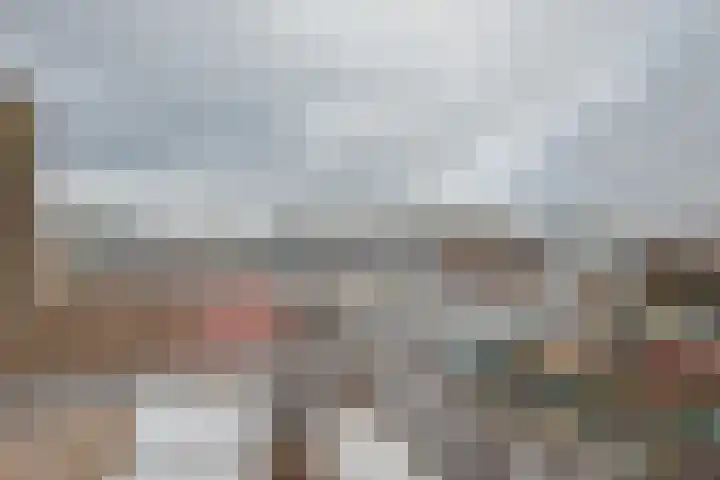 Hoge Rijndijk 116 C Leiden thumbnail 13