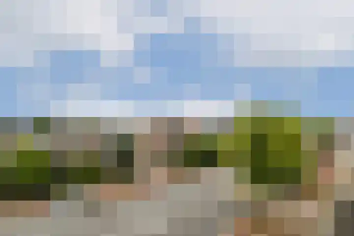 Hoge Rijndijk 116 D Leiden thumbnail 13