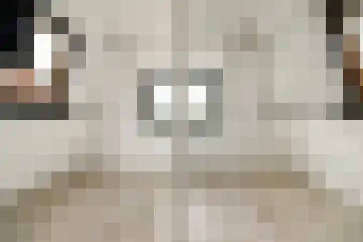 Hoge Rijndijk 116 D Leiden thumbnail 4