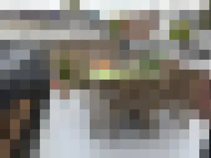 Hoge Rijndijk 124 A Leiden thumbnail 18