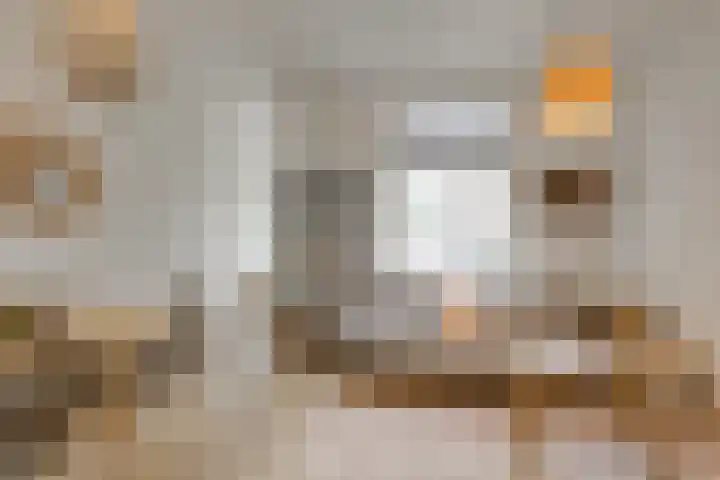 Hoge Rijndijk 124 A Leiden thumbnail 5