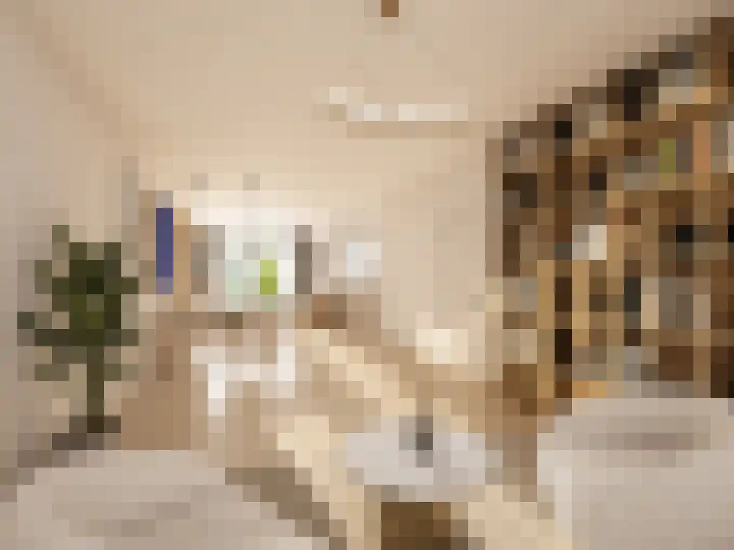 Hoge Rijndijk 14 Leiden thumbnail 12