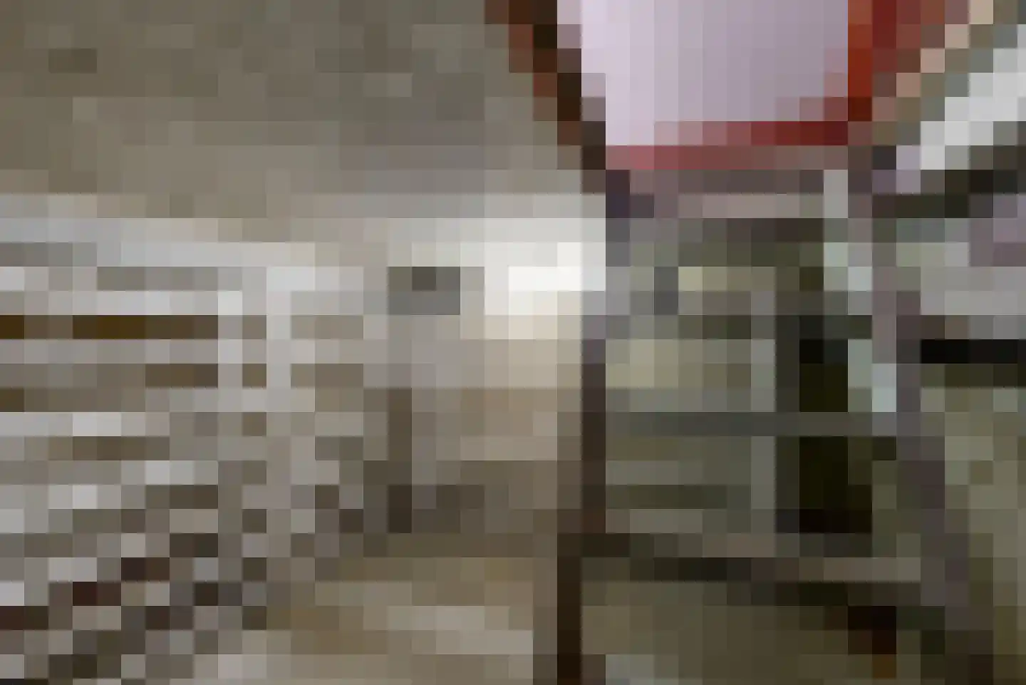 Hoge Rijndijk 14 Leiden thumbnail 17