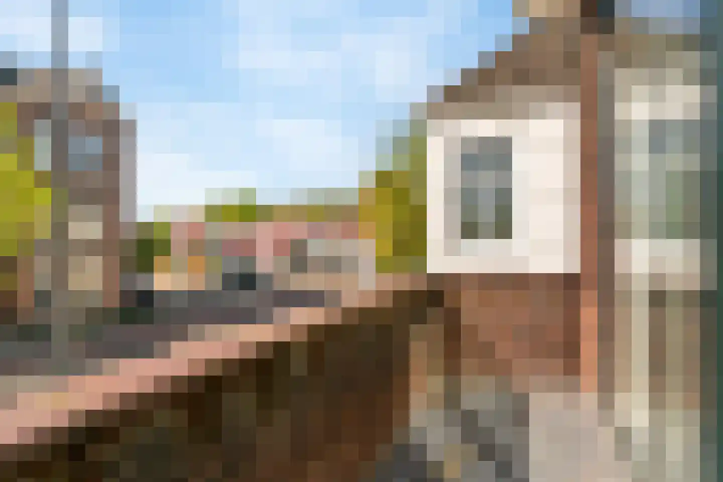 Hoge Rijndijk 14 Leiden thumbnail 25