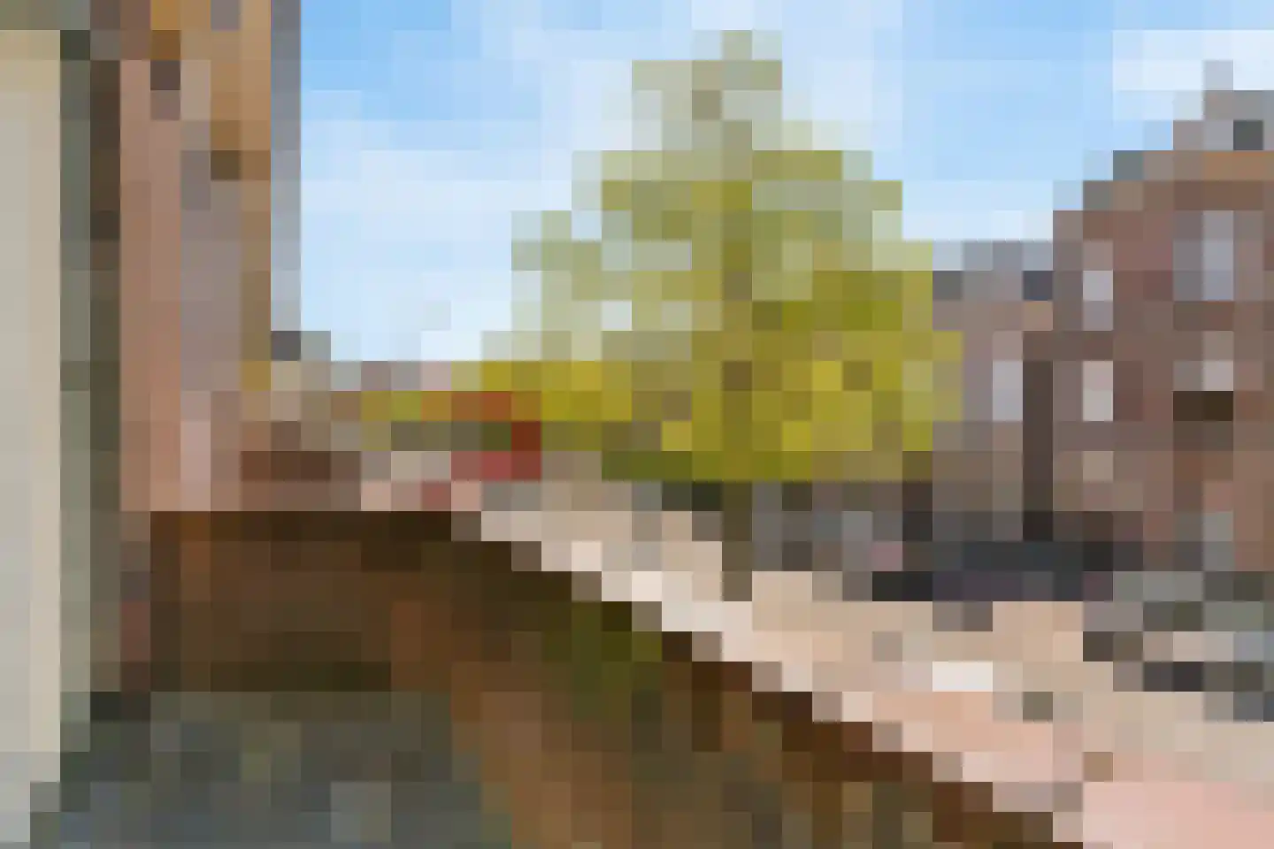 Hoge Rijndijk 14 Leiden thumbnail 26