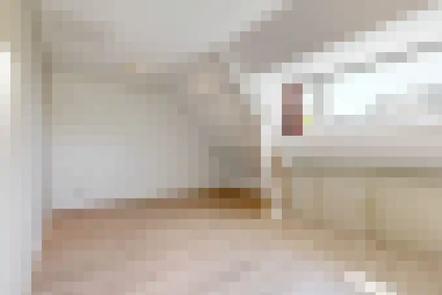 Hoge Rijndijk 14 Leiden thumbnail 38