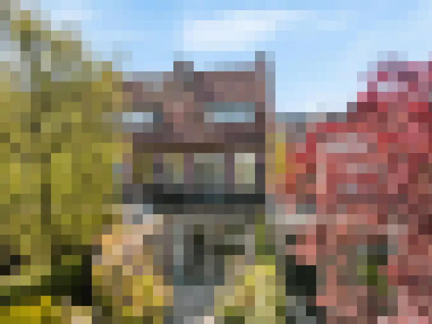 Hoge Rijndijk 14 Leiden thumbnail 4