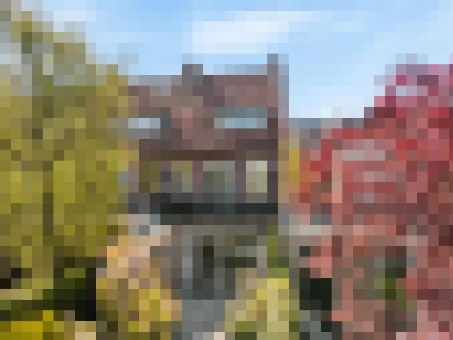 Hoge Rijndijk 14 Leiden thumbnail 41