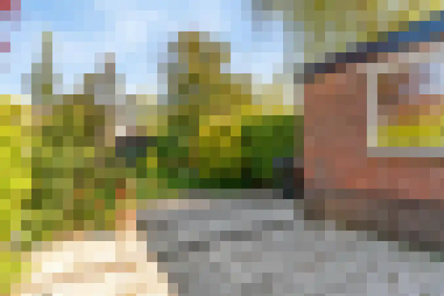 Hoge Rijndijk 14 Leiden thumbnail 43