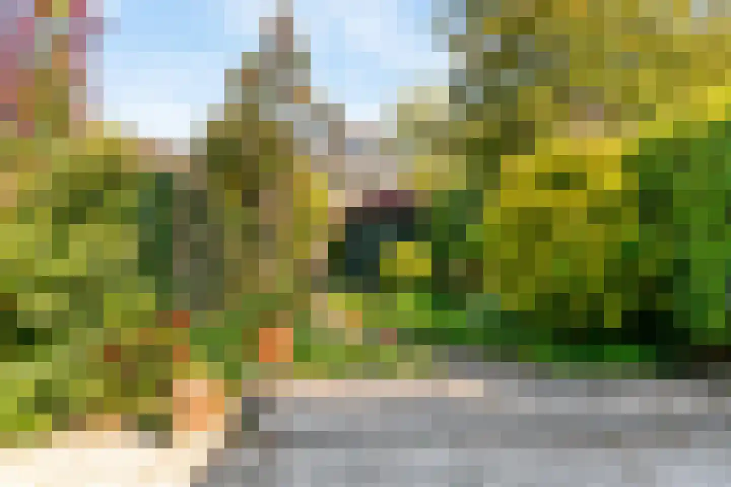 Hoge Rijndijk 14 Leiden thumbnail 44
