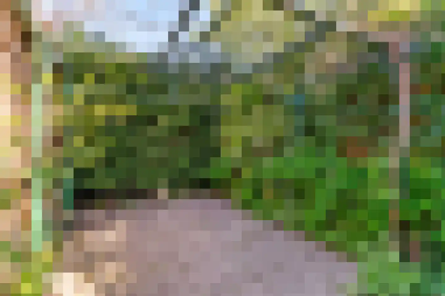 Hoge Rijndijk 14 Leiden thumbnail 45