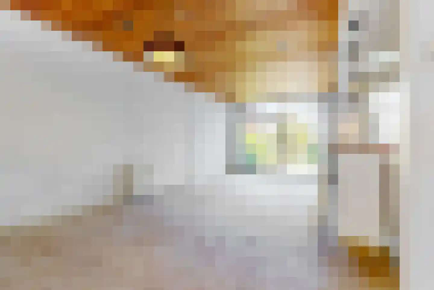Hoge Rijndijk 14 Leiden thumbnail 5