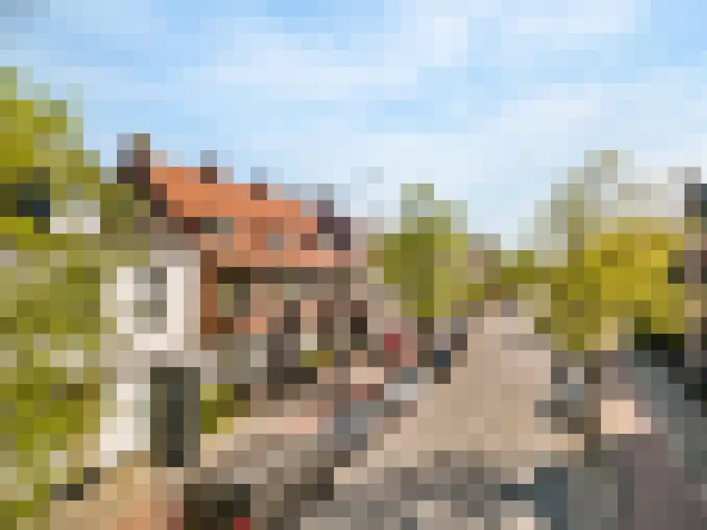 Hoge Rijndijk 14 Leiden thumbnail 50