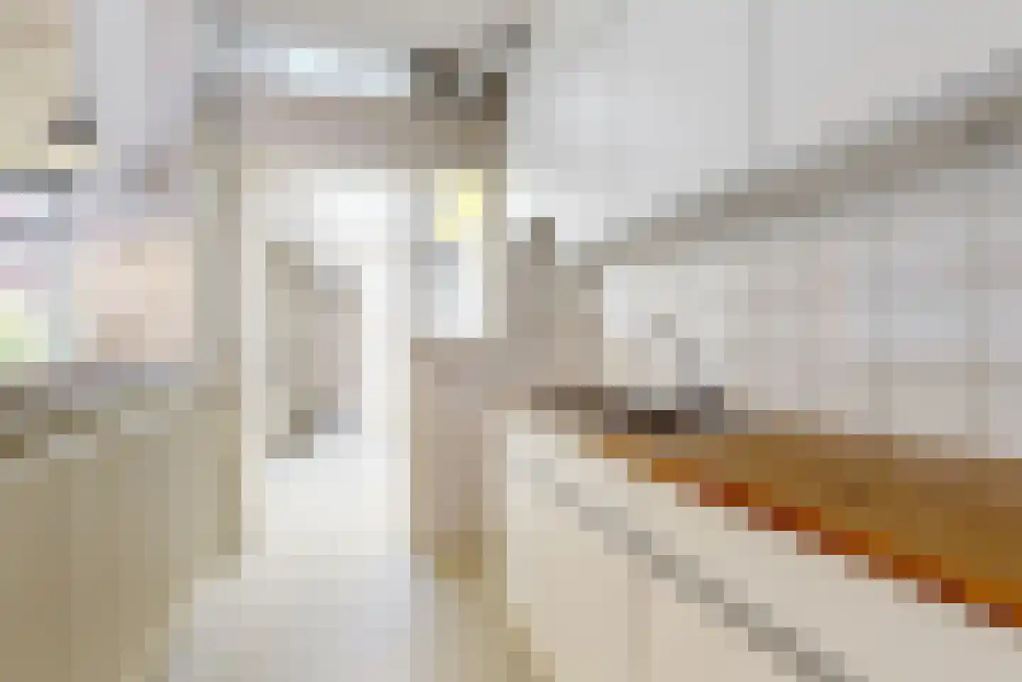 Hoge Rijndijk 14 Leiden thumbnail 8