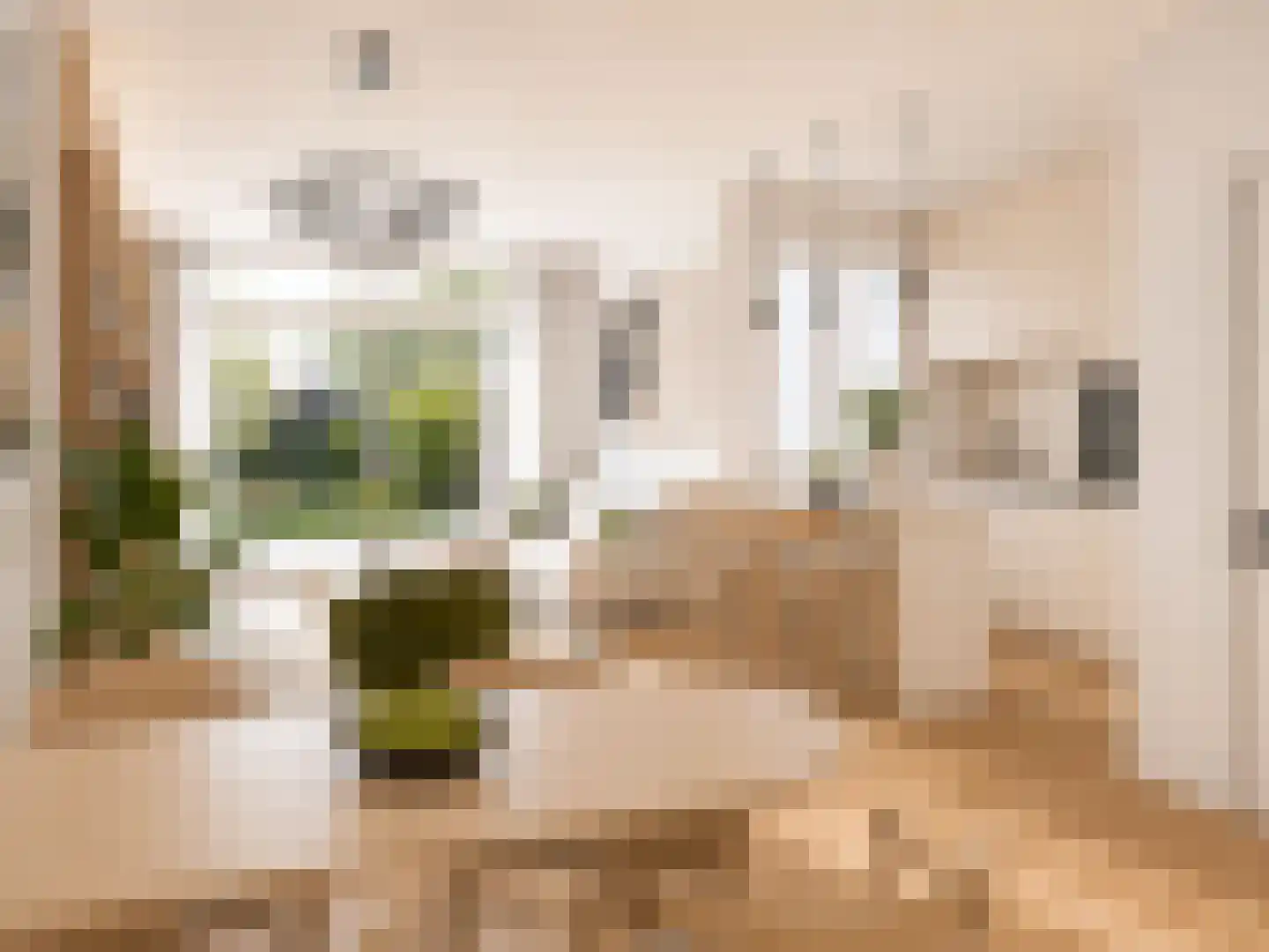 Hoge Rijndijk 14 Leiden thumbnail 8