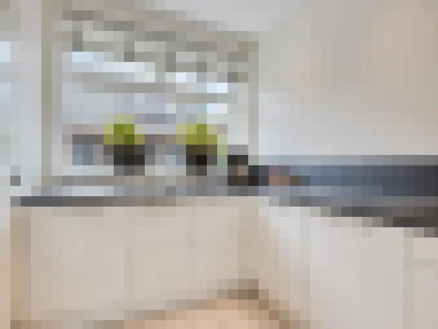 Hoge Rijndijk 14 Nieuwerbrug aan den Rijn thumbnail 8